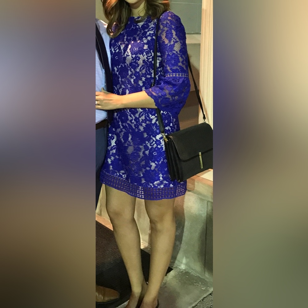 Eliza J Royal Blue Lace Cocktail Dress size 8